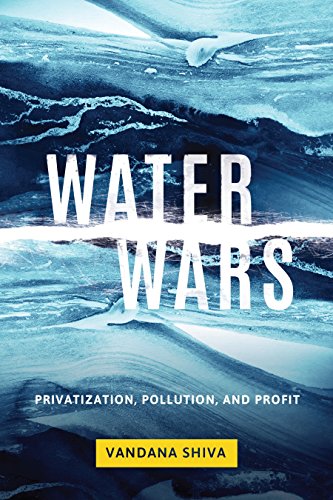 Imagen de archivo de Water Wars: Privatization, Pollution, and Profit a la venta por ThriftBooks-Atlanta
