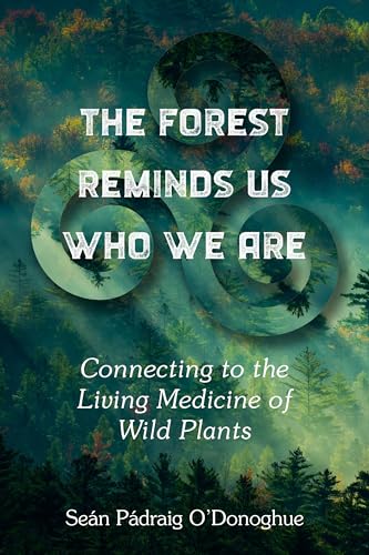 

The Forest Reminds Us Who We Are: Connecting to the Living Medicine of Wild Plants
