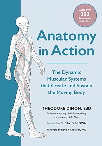 Beispielbild fr Anatomy in Action: The Dynamic Muscular Systems that Create and Sustain the Moving Body zum Verkauf von Goodwill Industries