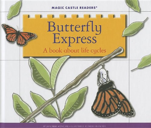 Stock image for Butterfly Express : A Book about Life Cycles for sale by Better World Books