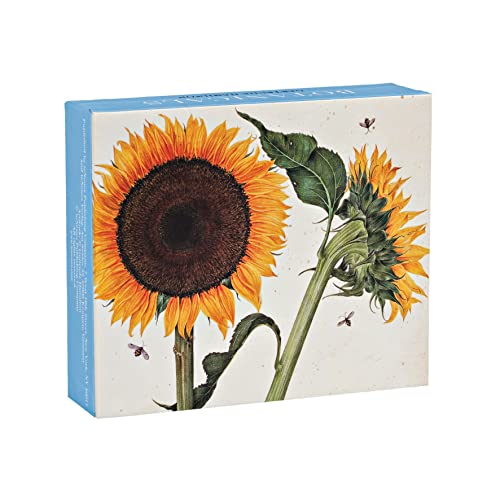 Stock image for Botanicals QuickNotes: Our Standard Size Set of 20 Notecards in a box with Magnetic Closure for sale by Lakeside Books