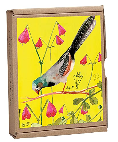 9781623256302: Vintage Birds GreenNotes: Boxed Notecards for All Occasions