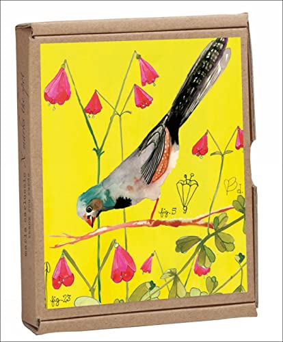 9781623256302: Vintage Birds Greennotes: Boxed Notecards for All Occasions