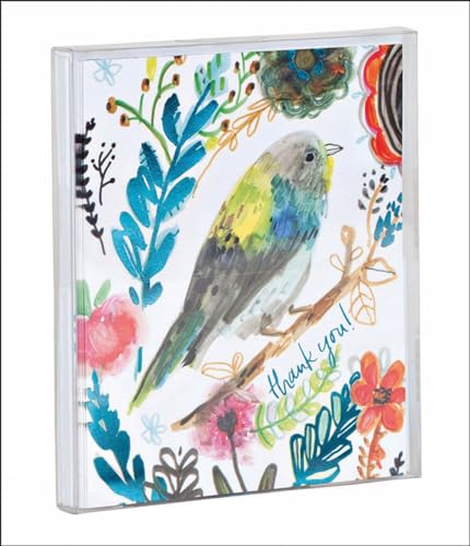 9781623257033: Bird Thank You Notecard Set: 10-Full Color, Standard Size Illustrated Notecards with Envelopes