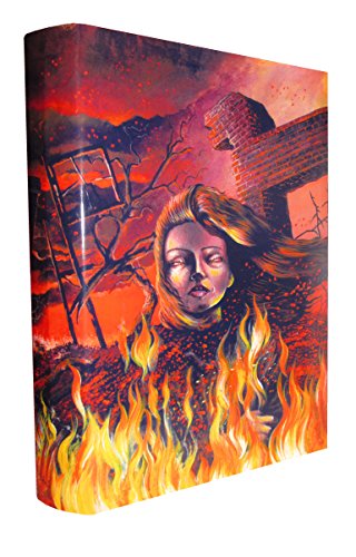 Stock image for STEPHEN KING NEW COVER SERIES No. 16 FIRESTARTER - 1 / 500 (Artist Signed, Cover only) for sale by GF Books, Inc.