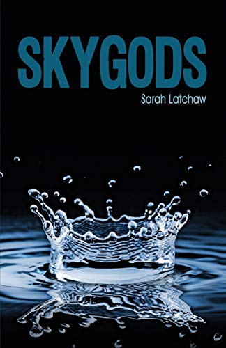 Imagen de archivo de Skygods (The Hydraulic Series) a la venta por Lakeside Books