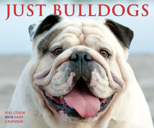 Just Bulldogs 2014 Box Calendar (9781623430108) by Willow Creek Press