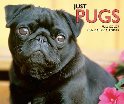 Stock image for Just Pugs 2014 Box Calendar for sale by Modetz Errands-n-More, L.L.C.