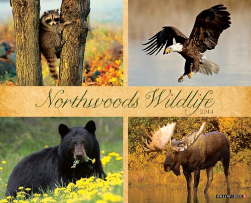 Northwoods Wildlife 2014 Wall Calendar (9781623430757) by Willow Creek Press