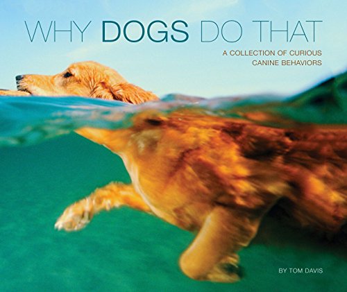 Beispielbild fr Why Dogs Do That (Deluxe Edition) : A Collection of Curious Canine Behaviors zum Verkauf von Better World Books