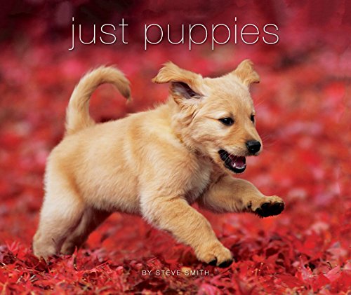 Beispielbild fr Just Puppies (Deluxe Edition) zum Verkauf von Wonder Book