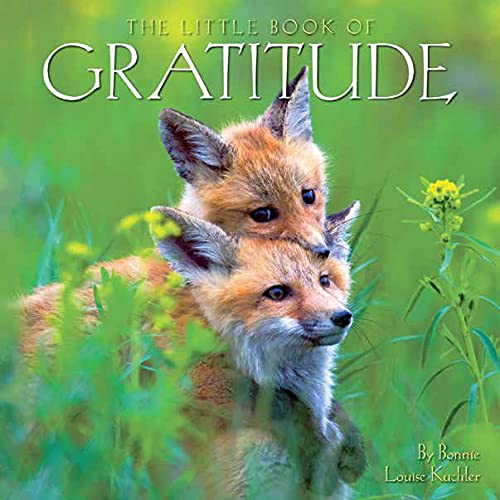 Stock image for Gratitude for sale by ThriftBooks-Dallas