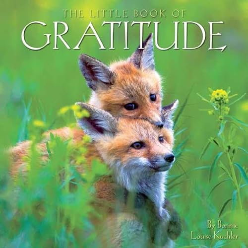 9781623435622: The Little Book of Gratitude (A Thank-You gift book)