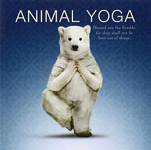 Imagen de archivo de Animal Yoga a la venta por Wonder Book