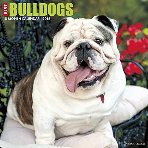 9781623436445: Just Bulldogs 2016 Calendar