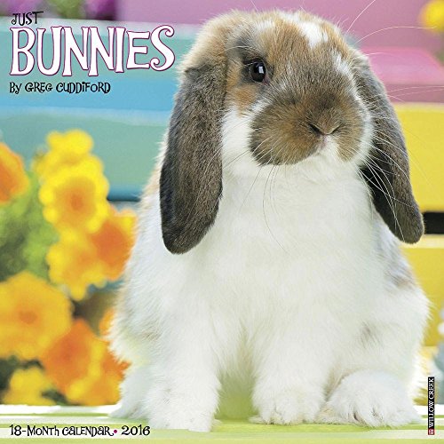 9781623436452: Just Bunnies 2016 Calendar