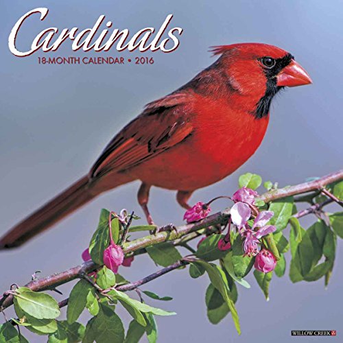 9781623436513: Cardinals 2016 Calendar