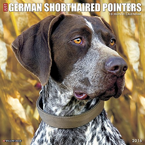 9781623437022: Just German Shorthaired Pointers 2016 Calendar