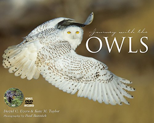 Imagen de archivo de Journey With the Owl a la venta por Green Street Books