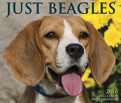 9781623438661: 2016 Just Beagles Box Calendar