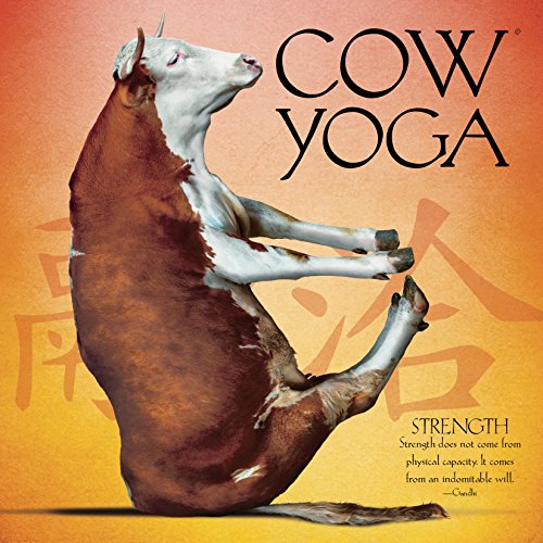 Beispielbild fr Cow Yoga zum Verkauf von Wonder Book