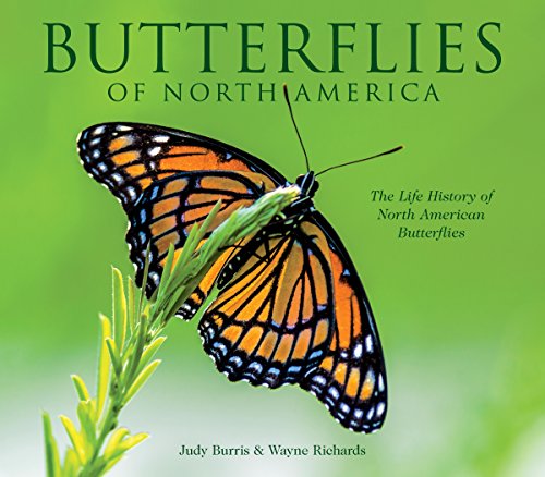 Stock image for Butterflies of North America for sale by SecondSale