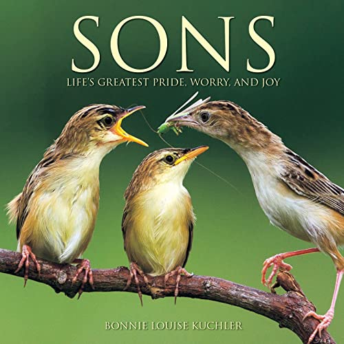Stock image for Sons: Life's Greatest Pride, Worry, and Joy (gift book) for sale by SecondSale