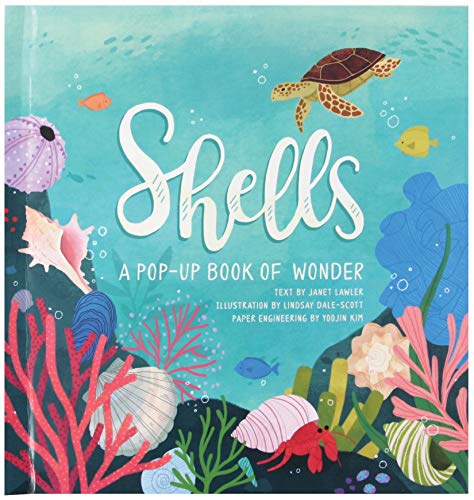 Beispielbild fr Shells: A Pop-Up Book of Wonder (4 Seasons of Pop-Up) zum Verkauf von New Legacy Books