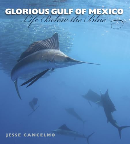 Stock image for Glorious Gulf of Mexico: Life Below the Blue (Volume 28) (Gulf Coast Books, sponsored by Texas A&M University-Corpus Christi) for sale by Your Online Bookstore