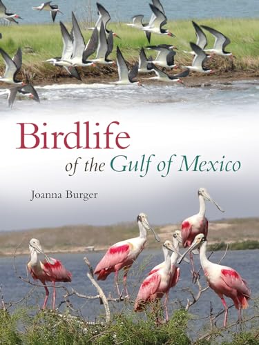 Stock image for Birdlife of the Gulf of Mexico for sale by Revaluation Books