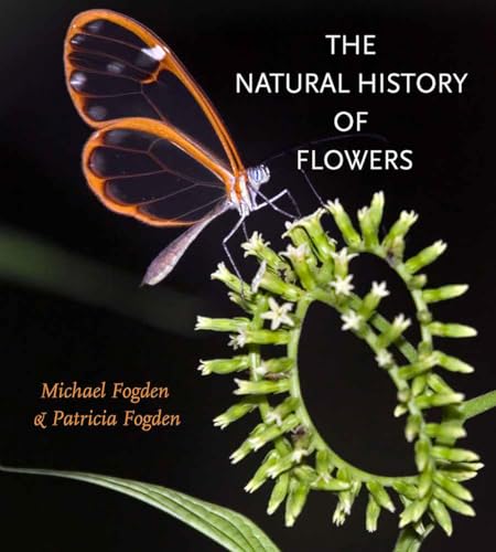The Natural History of Flowers - Michael Fogden, Patricia Fogden