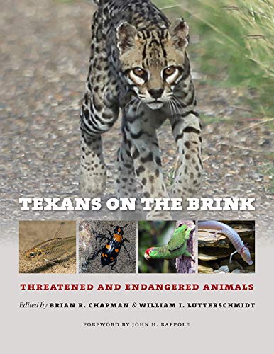 9781623497316: Texans on the Brink: Threatened and Endangered Animals (Natural History Series)