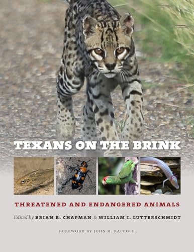9781623497316: Texans on the Brink (Integrative Natural History Series, sponsored by Texas Research Institute for Environmental Studies, Sam Houston State University)