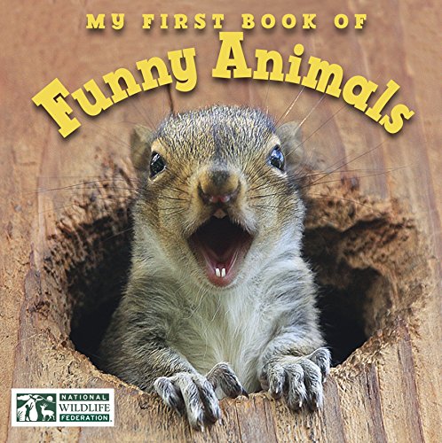 Beispielbild fr My First Book of Funny Animals (National Wildlife Federation) zum Verkauf von ThriftBooks-Dallas