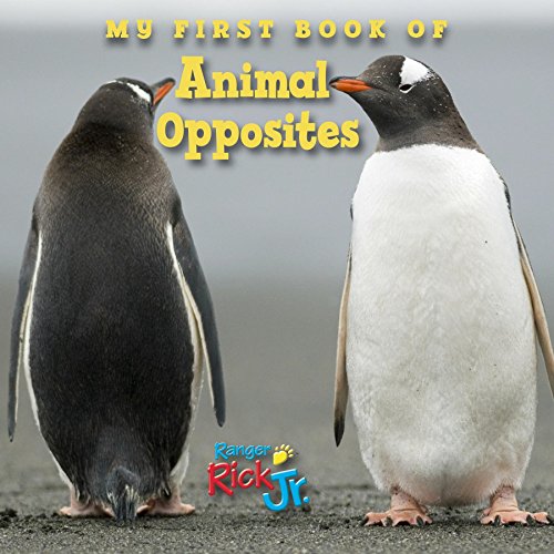 9781623540623: My First Book of Animal Opposites (National Wildlife Federation)