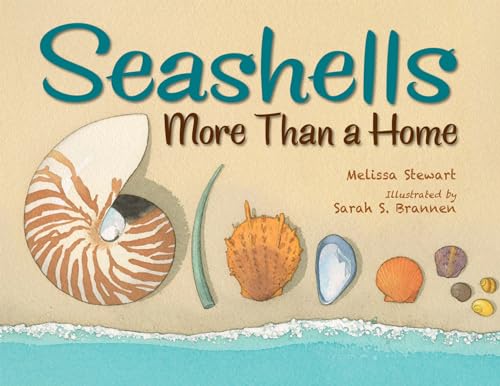 Beispielbild fr Seashells: More Than a Home zum Verkauf von Zoom Books Company