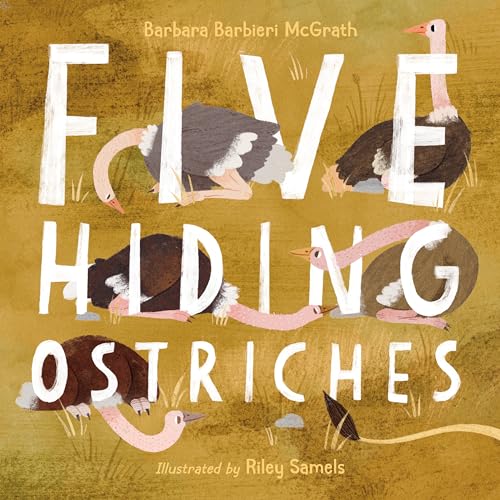 Beispielbild fr Five Hiding Ostriches zum Verkauf von PlumCircle