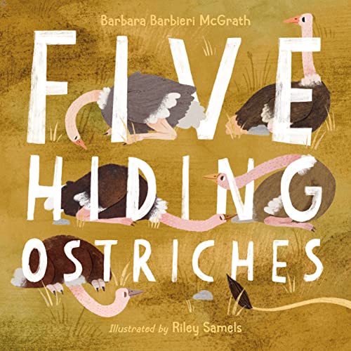 Stock image for Five Hiding Ostriches for sale by PlumCircle