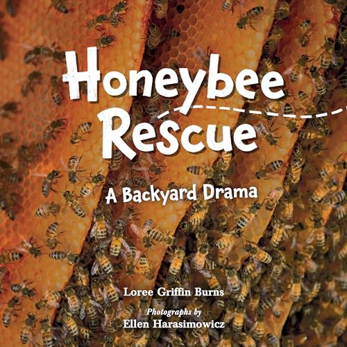 Stock image for Honeybee Rescue for sale by Blackwell's