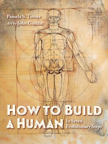 Stock image for How to Build a Human : In Seven Evolutionary Steps for sale by Better World Books