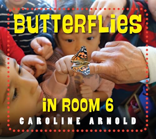 Beispielbild fr Butterflies in Room 6: See How They Grow (Life Cycles in Room 6) zum Verkauf von Monster Bookshop