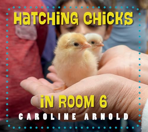 Beispielbild fr Hatching Chicks in Room 6 (Life Cycles in Room 6) zum Verkauf von Monster Bookshop