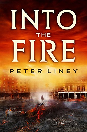 Stock image for Into The Fire (The Detainee Series, 2) for sale by HPB-Red