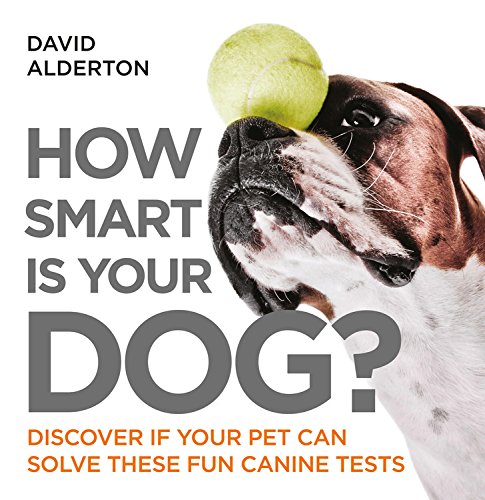 Stock image for How Smart Is Your Dog?: Discover If Your Pet Can Solve These Fun Canine Tests for sale by WorldofBooks