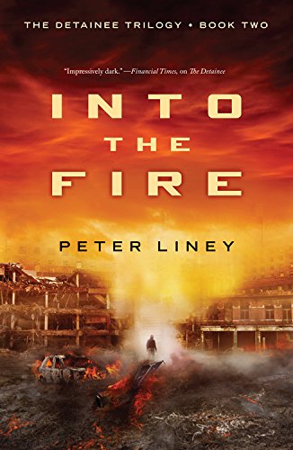 Stock image for Into The Fire (The Detainee Series) for sale by HPB-Movies