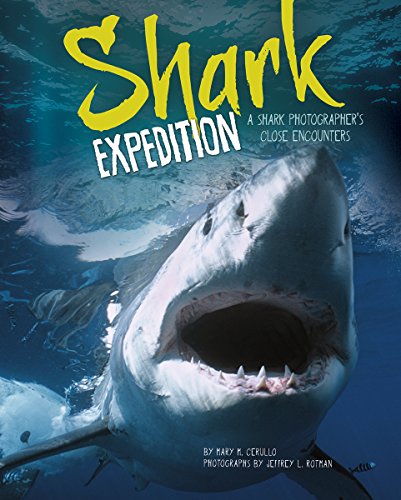 Beispielbild fr Shark Expedition: A Shark Photographer's Close Encounters zum Verkauf von More Than Words