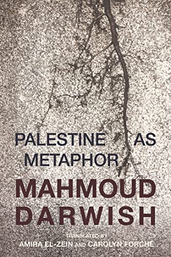 Beispielbild fr Palestine as Metaphor zum Verkauf von Books From California