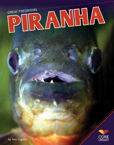 9781624030161: Piranha (Great Predators)