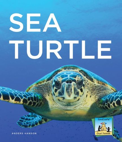 Imagen de archivo de Sea Turtle a la venta por Better World Books