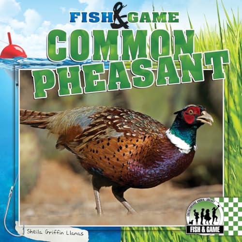 Stock image for Common Pheasant for sale by Better World Books: West